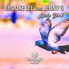 Little Bird (Sexgadget Extended Remix) [feat. Jenny G.] Song Lyrics