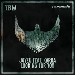 Looking for You (feat. Karra) Song Lyrics