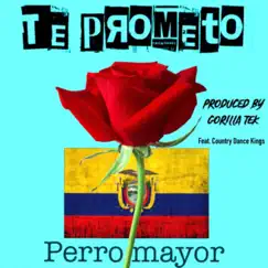 Te Prometo (feat. The Country Dance Kings) [Instrumental] Song Lyrics