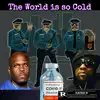 The World Is so Cold (feat. Chali Boy) - Single album lyrics, reviews, download