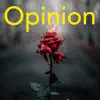 Opinion - Single album lyrics, reviews, download