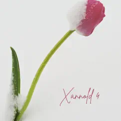 Xannold 4 (feat. Derek) - Single by Lil Woodie Wood album reviews, ratings, credits