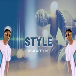 What a Feeling - Single by Style album reviews, ratings, credits