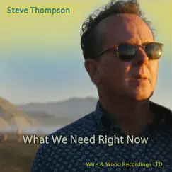 What We Need Right Now - Single by Steve Thompson album reviews, ratings, credits