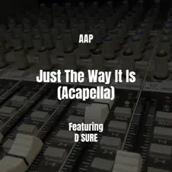 Just the Way It Is (feat. D SURE) [Acapella] Song Lyrics