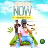 High Right Now (feat. Zizi 6ixx) - Single album lyrics, reviews, download