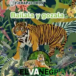 Bailala Y Gózala (Live) [DJ Mix] by Selva Negra album reviews, ratings, credits