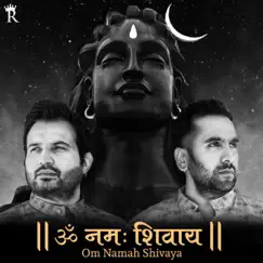 Om Namah Shivaya - Single by Richi Banna & Aditya Vyas Rajpurohit album reviews, ratings, credits