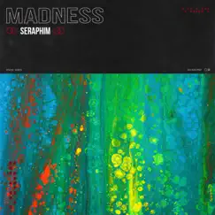 Madness by Seraphim album reviews, ratings, credits