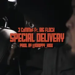 Special Delivery (feat. Big Flock) - Single by 3coMMa$ album reviews, ratings, credits