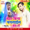Mehar Bina Paglail Baad Ho - Single album lyrics, reviews, download