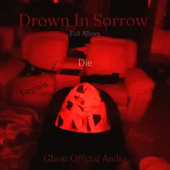 Drown In My Sorrow by Alrer Ego06 album reviews, ratings, credits