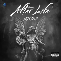 After Life - Single by YCN Malli album reviews, ratings, credits