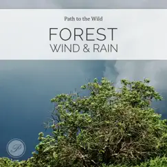 Taking Shelter Under an Oak Tree During a Storm Song Lyrics