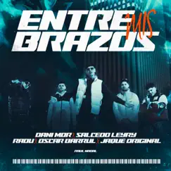 Entre Mis Brazos (feat. Salcedo Leyry & Radu) Song Lyrics