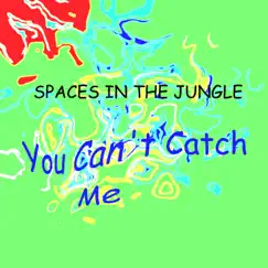 You Can't Catch Me Song Lyrics