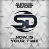 Now Is Your Time (feat. David Klemencz) - Single album lyrics, reviews, download