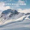 Winter Wonderland Sleep Aid album lyrics, reviews, download