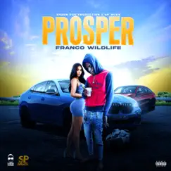 Prosper - Single by Franco Wildlife album reviews, ratings, credits
