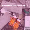 Raised In the Concrete album lyrics, reviews, download