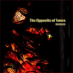 The Opposite of Tones (feat. Fidel Ten & Камиль Скрипка) [Instrumental] Song Lyrics