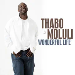 Wonderful Life - EP by Thabo Mdluli album reviews, ratings, credits