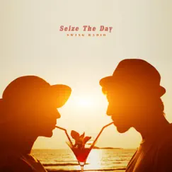 Seize The Day - Single by Swing Radio album reviews, ratings, credits