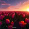 Tulip Fields - Single album lyrics, reviews, download