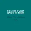The Legend of Zelda: Tears of the Kingdom - Music Box Lullabies, Vol. 1 album lyrics, reviews, download