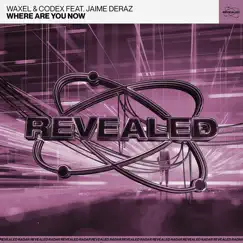 Where Are You Now (feat. Jaime Deraz) [Extended Mix] Song Lyrics