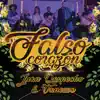 Falso Corazón (feat. Vanessa) - Single album lyrics, reviews, download