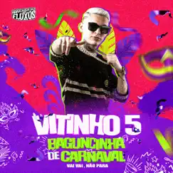 Vai Vai Não Para / Baguncinha de Carnaval Song Lyrics