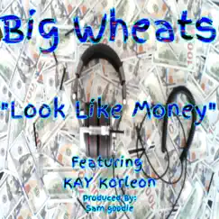 Look Like Money (feat. KAY Korleon) - Single by Big Wheats album reviews, ratings, credits