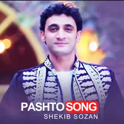 Pashto Song Mast Shin - Single by Shekib Sozan album reviews, ratings, credits