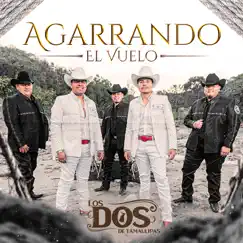 Agarrando El Vuelo - Single by LOS DOS DE TAMAULIPAS album reviews, ratings, credits