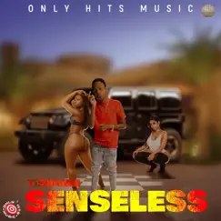Senseless - Single by Tishaine album reviews, ratings, credits