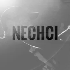 Nechci Song Lyrics