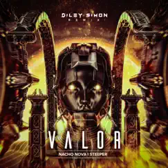 Valor (Diley Simon Remix) - Single by Steeper & Nacho Nova album reviews, ratings, credits