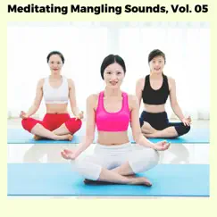 Meditating Mangling Sounds, Vol. 05 by Various Artists album reviews, ratings, credits