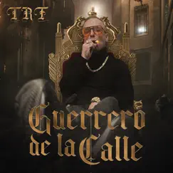 Guerrero de la Calle Song Lyrics