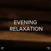 !!!" Evening Relaxation "!!! album lyrics, reviews, download