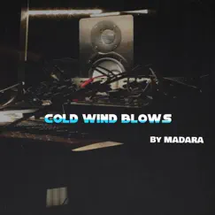 Cold wind blows (full track) [Antidote beats Remix] - Single by MADARA album reviews, ratings, credits