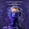 G.ai.A (One Function Remix) - Single album lyrics, reviews, download