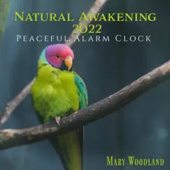 Natural Awakening 2022 Song Lyrics