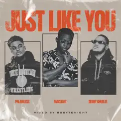 Just Like You (feat. Denny Khurlel & Phlawless) - Single by Maclight album reviews, ratings, credits