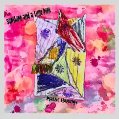 Sunshine and a Little Pink by Plastic Flamingo album reviews, ratings, credits