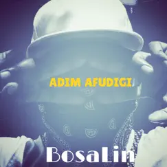 Adim Afudigi - Single by Bosalin album reviews, ratings, credits