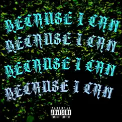 Because I Can - Single by Fahwill album reviews, ratings, credits