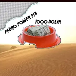 1000 Dolar - Single by Pedro Power pfa album reviews, ratings, credits