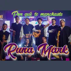 POR QUE TE MARCHASTE Runa Mark - Single by Music festival Andina album reviews, ratings, credits